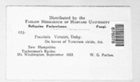 Image Associated With the Occurence